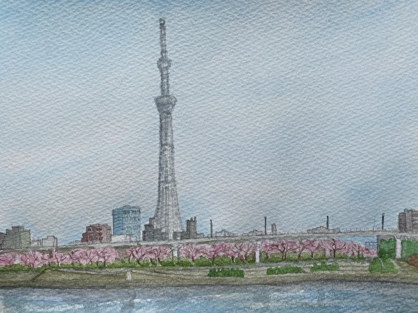 Tokyo Skytree and rows of cherry blossoms along the Sumida River